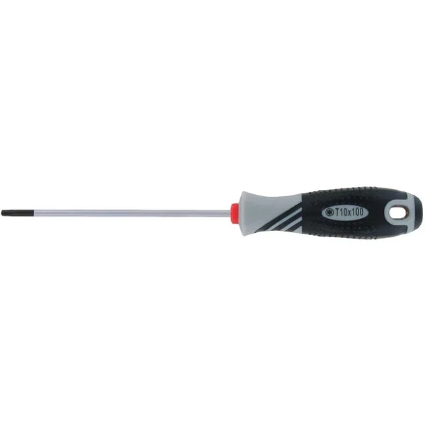 VAR T10 Torx Schraubendreher 1